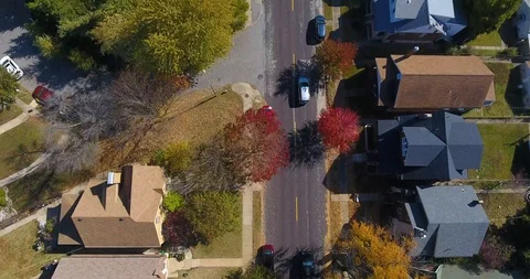 Fall Trees (4K Drone) 8/8 Video stock 119081074