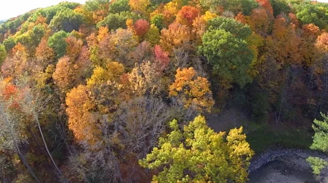 Fall Trees Aerial 03 Stock Footage 43057285