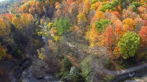 Fall Trees Aerial 04 Stock Footage 43057393