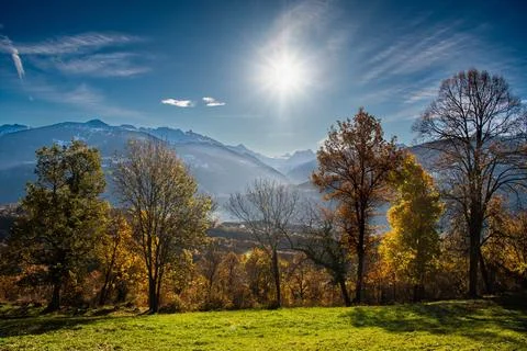 Fall trees alps autumn sun leaves Stock Photos