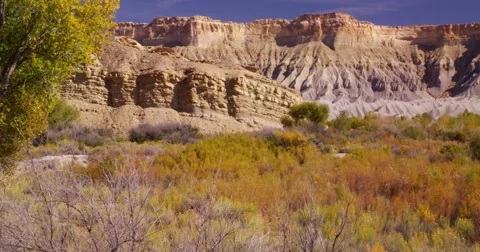 Fall trees and bushes in the badlands near Capitol Reef National Park Stock Footage 59211145