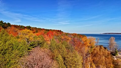 Fall Trees and Shoreline Stock Footage 342371030