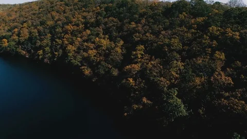 FALL TREES AND WATER Stockbeeldmateriaal 127516266