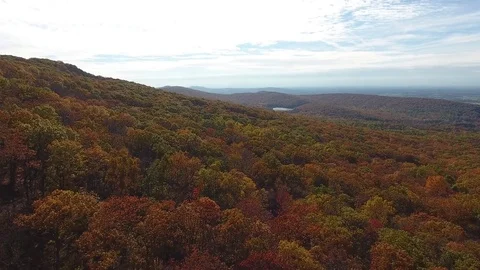Fall Trees Appalachian Mountains Drone 4k Stock Footage