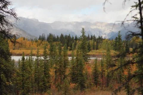 Fall trees in front of mountains Stock Photos