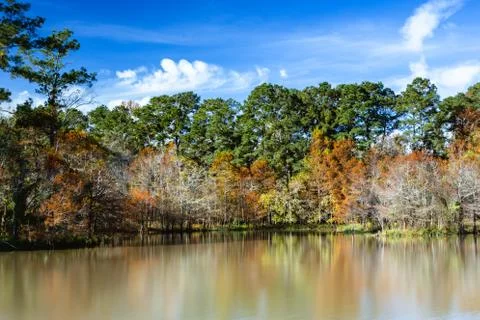 Fall trees on the lake Stock Photos
