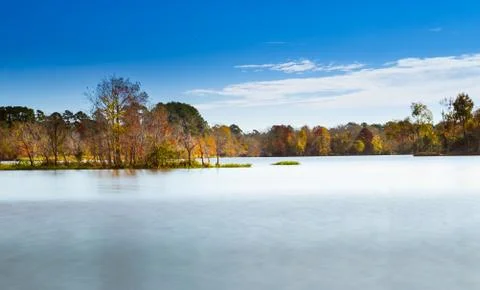 Fall trees on the lake Stock Photos