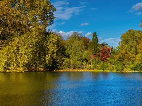 Fall trees landscape in vibrant colors Stock Photos