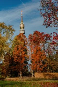 Fall trees landscape in vibrant colors Foto stock