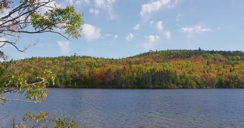 Fall Trees On Mountain By Beautiful Lake And Autumn Foliage Landscape Stock Footage 78736519