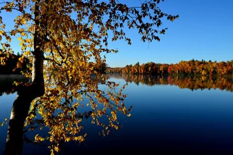 Fall trees overlooking lake Stock Photos