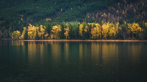 Fall trees reflected in a lake. Stock Photos