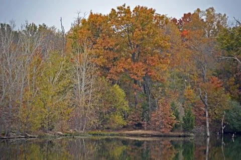 Fall trees reflecting on water Foto stock
