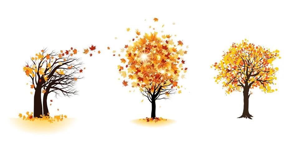 Fall trees set Stock Illustration