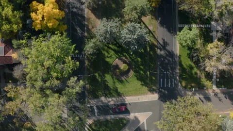 Fall trees urban street overhead Stock Footage 164417088