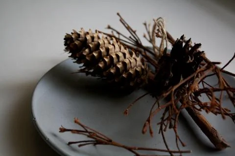 Fall tunes on plate Foto stock