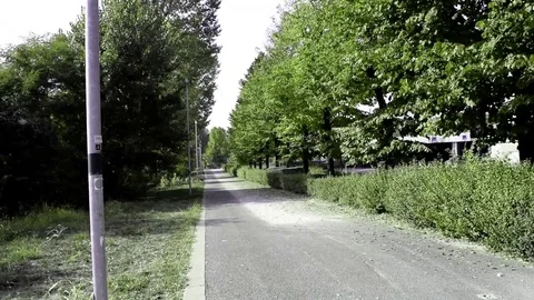 Fall in Turin Stock Footage 81065859