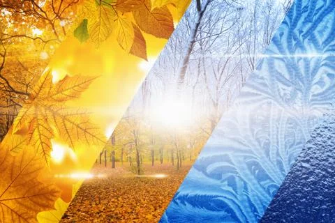 Fall turns to winter Stock-Fotos