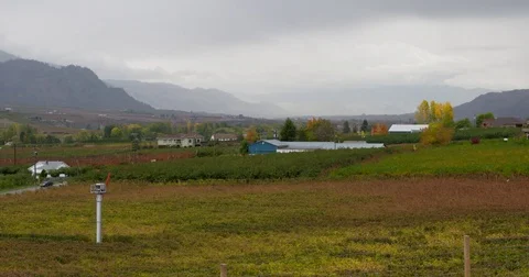 Fall in the valley 1 Stock Footage
