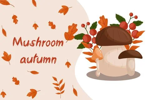 Fall vector elements set. Cozy fall stickers. Leaves, pumpkins, fall clothes Stockillustratie