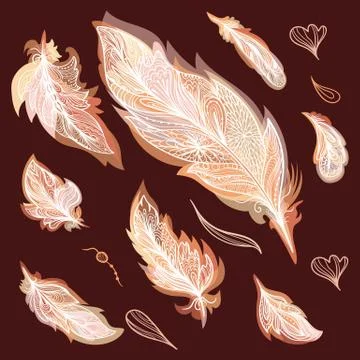Fall Vector Feathers Set Stock Illustration
