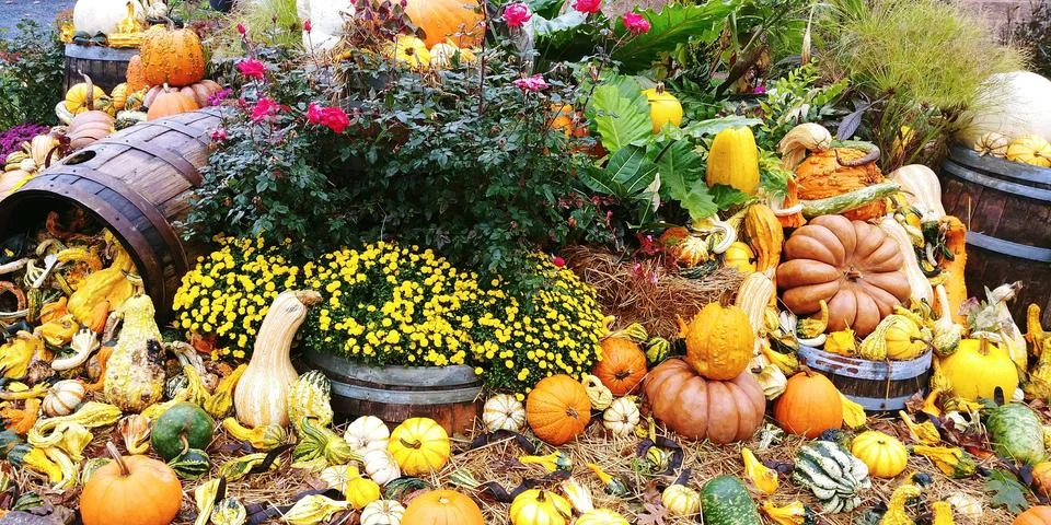 Fall vegetable decorations Stock Photos