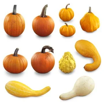 Fall Vegetables Stockillustratie