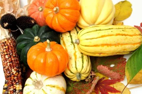 Fall vegetables Stock Photos