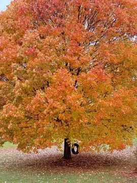 Fall in Vermont Stock Photos