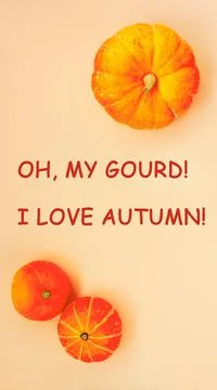 Fall vertical backgrounds for media stories. Oh, my gourd I love autumn, text Stock Photos