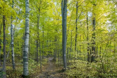 Fall view at Kelso conservation area Stock Photos