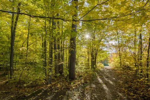Fall view at Kelso conservation area Stock Photos