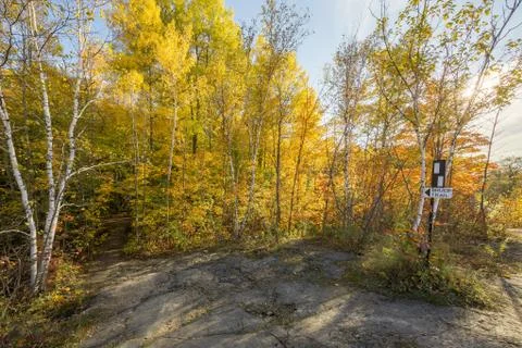 Fall view at Kelso conservation area Stock Photos