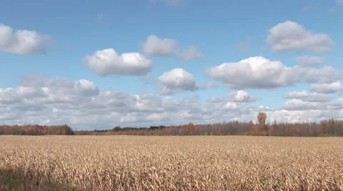 Fall vs Cloud HD 스톡 동영상 954266