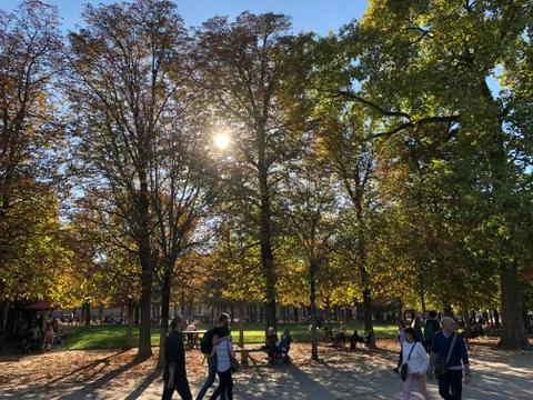A Fall walk in the park 库存照片