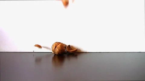 Fall of a walnut with an open shell on a table with another closed Stock Footage 104085498
