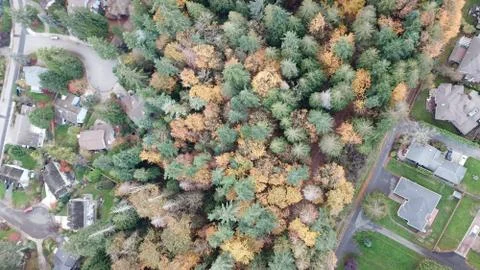 Fall Washington Stock Photos