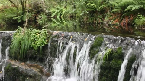 Fall of water in the middle of nature Stock Footage 237526916