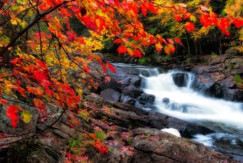 Fall Waterfall Stock Photos