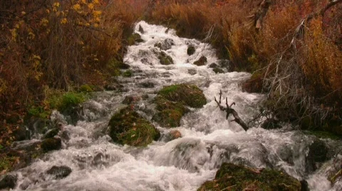 Fall Waterfall Speed 1000 動画素材 555648