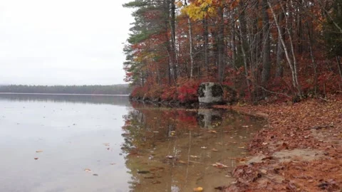 Fall Waterfront Stock Footage 147687537