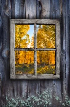 Fall window design Stock Photos