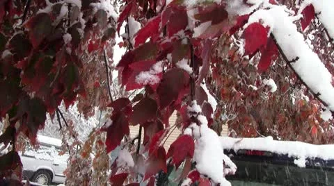 Fall winter day 2 Видео 8949021