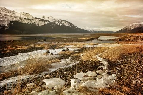 From fall to winter Stock Photos