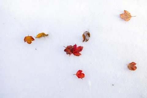 Fall to winter Stockfoto's