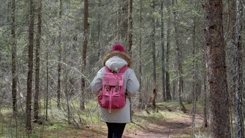 Fall woman backpacker hiking on the path in the forest mountains during autumn Stock Footage 76382415