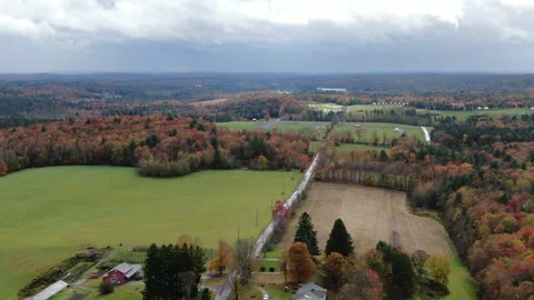 Fall in Woodstock 3 動画素材 289784053