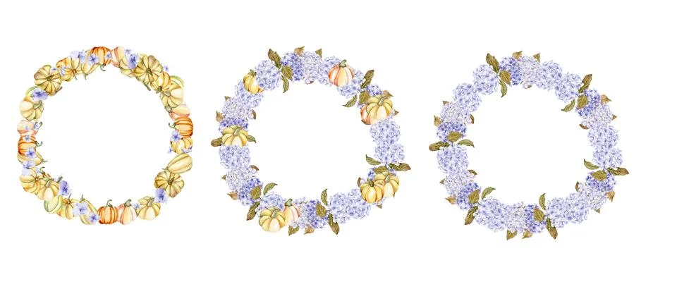 Fall wreath with blue hydrangea and pumpkins set. For cards, backgrounds. W.. Stock Illustration