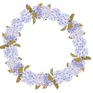 Fall wreath with blue hydrangea . For cards, backgrounds. Watercolor illust.. Stock Illustration