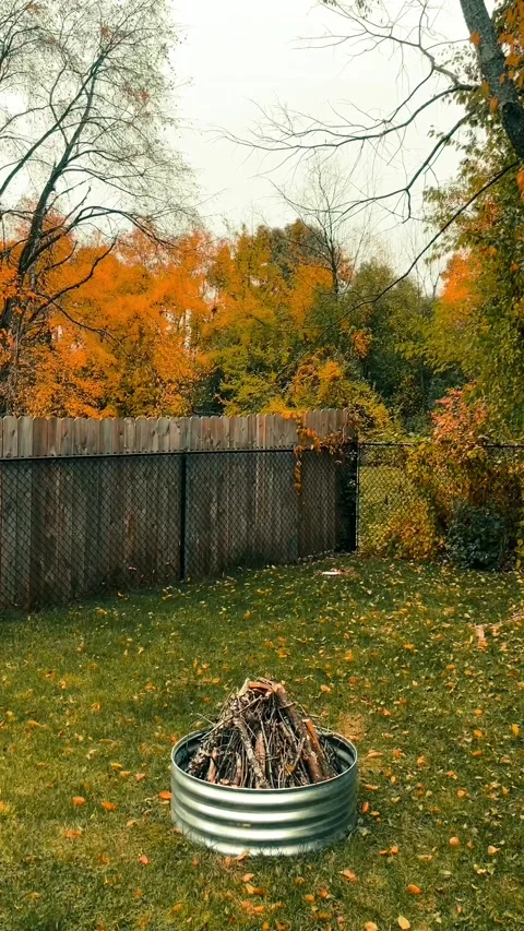 Fall yard Video stock 279523727